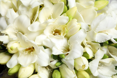 Beautiful aromatic freesia bouquet as background, closeup