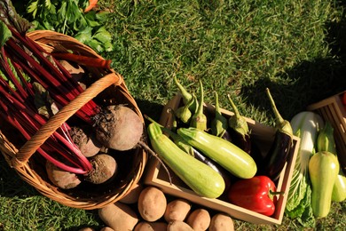 Different fresh ripe vegetables on green grass, flat lay