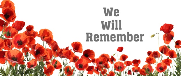 Image of Remembrance day card. Red poppy flowers and text We Will Remember on white background