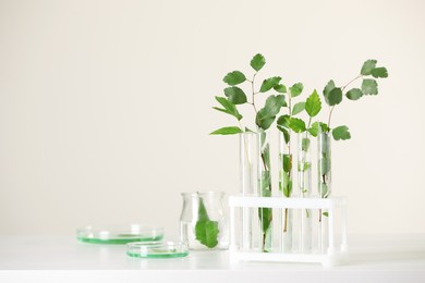 Photo of Laboratory glassware with plants on white table, space for text