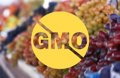 GMO free products. Blurred view of fresh ripe juicy grapes on counter at market