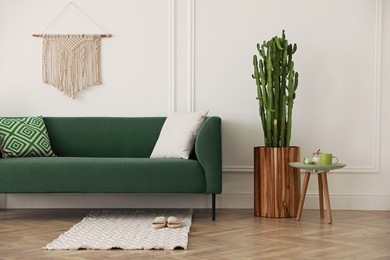 Stylish living room interior with beautiful potted cactus and modern furniture