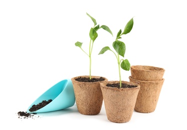 Photo of Vegetable seedlings in peat pots and plastic scoop with soil isolated on white