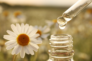 Dripping essential oil from pipette into bottle in chamomile field, closeup
