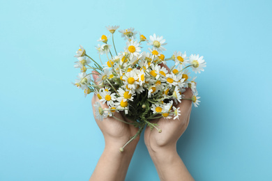 Woman holding chamomile bouquet on light blue background, top view