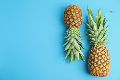 Photo of Fresh ripe juicy pineapples on light blue background, flat lay. Space for text