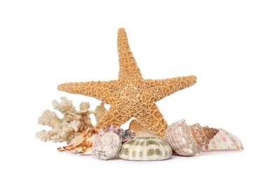Beautiful starfish, coral and sea shells on white background
