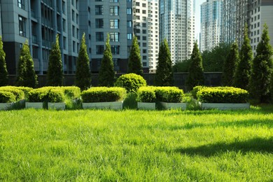 Photo of Beautiful view of fresh green grass growing near modern housing estate outdoors