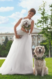 Bride and adorable dogs wearing wreathes made of beautiful flowers outdoors