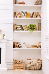 Collection of books and decor elements on shelves indoors. Interior design