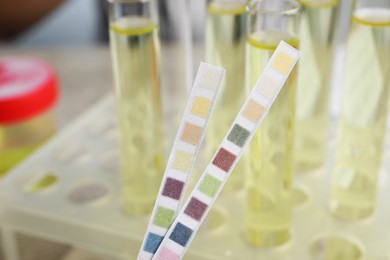 Urine test strips near tubes on blurred background, closeup