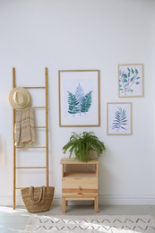 Beautiful paintings and plant at home. Idea for interior design