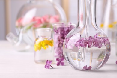 Laboratory glassware with flowers, focus on flask. Extracting essential oil for perfumery and cosmetics