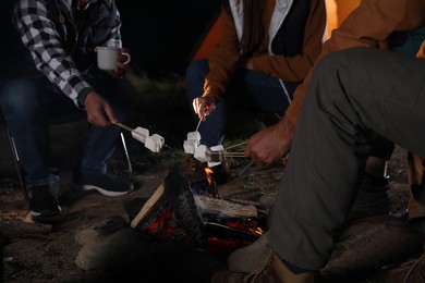 Group of friends roasting marshmallows on bonfire at camping site in evening, closeup