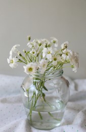 Photo of Bouquet of beautiful white snow-in-summer flowers in glass vase on fabric
