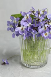 Photo of Beautiful wood violets in glass on grey table. Spring flowers
