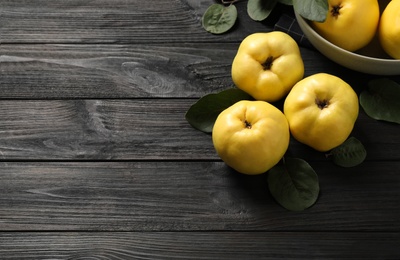 Fresh ripe organic quinces with leaves on black wooden table, flat lay. Space for text