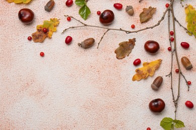 Photo of Composition with autumn dry leaves, acorns, chestnuts, branch and red berries on color background, flat lay. Space for text