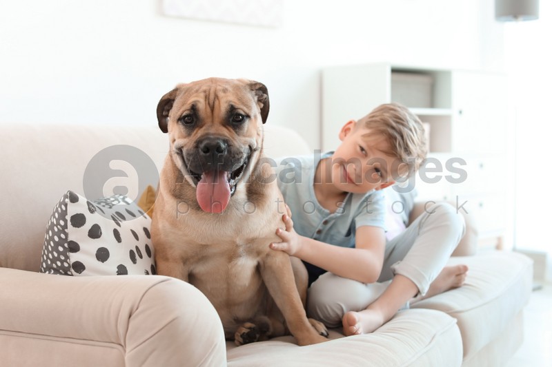 Cute little child with his dog on couch at home