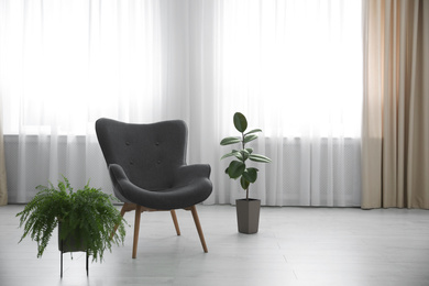 Green plants and armchair near window. Home design ideas