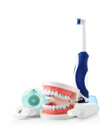Composition with model of oral cavity and dental care items on white background. Healthy teeth