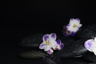 Photo of Stones and flowers in water on black background, space for text. Zen lifestyle