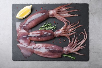 Fresh raw squids with lemon, rosemary and pepper on grey table, top view
