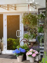 Photo of Exterior of small flower shop with different beautiful plants outdoors