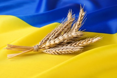 Ears of wheat on national Ukrainian flag. Cereal plant
