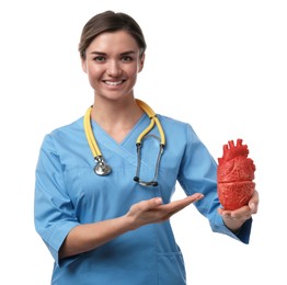 Photo of Doctor with stethoscope and model of heart on white background. Cardiology concept