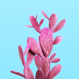 Pink cactus on light blue background. Creative design