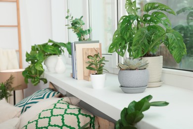 Stylish room interior with beautiful house plants. Home design idea