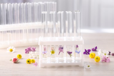 Test tubes with different flowers on white wooden table. Essential oil extraction