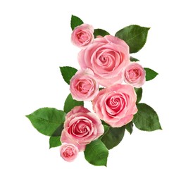 Beautiful bouquet with pink roses on white background