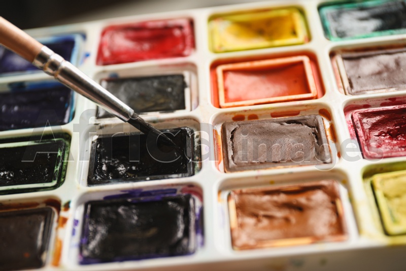 Brush and palette of watercolor paints, closeup view