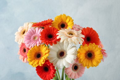Bouquet of beautiful colorful gerbera flowers on light blue background