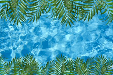 View of beautiful green tropical leaves and outdoor swimming pool as background
