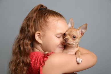 Little girl with her Chihuahua dog on grey background. Childhood pet