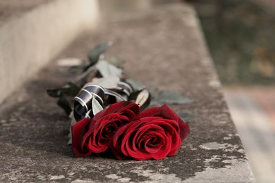 Red roses on grey tombstone outdoors, space for text. Funeral ceremony