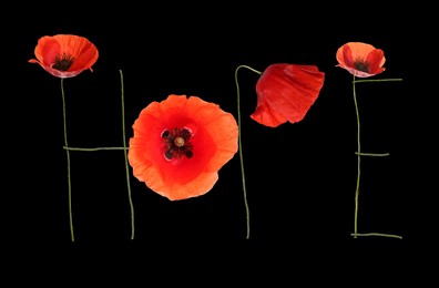 Word HOPE made with beautiful red poppies on black background