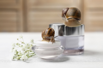 Snail, jar with cream and baby breath flowers on white table, closeup