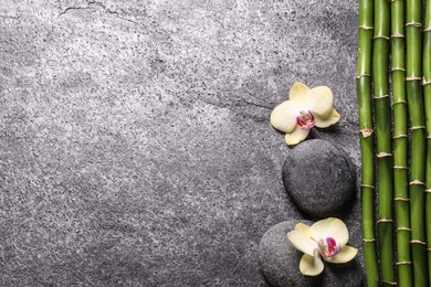 Spa stones, beautiful orchid flowers and bamboo stems on grey table, flat lay. Space for text