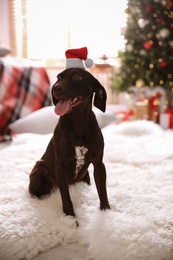 Cute dog wearing small Santa hat in room decorated for Christmas