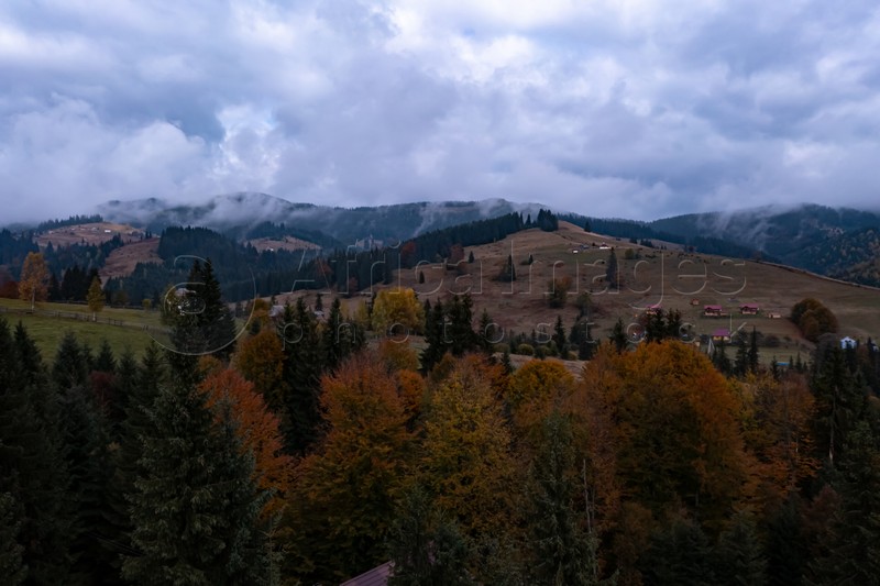 Aerial view of beautiful forest and mountain village on autumn day