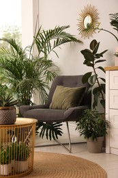 Lounge area interior with comfortable armchair and houseplants
