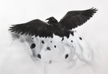 Image of Black raven flying through mist, fantasy image