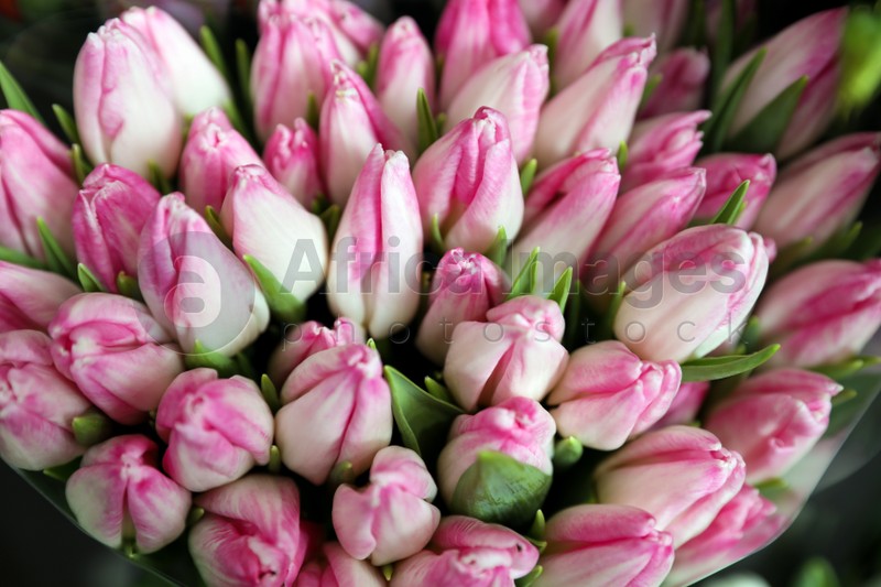 Beautiful pink tulips as background, closeup. Floral decor