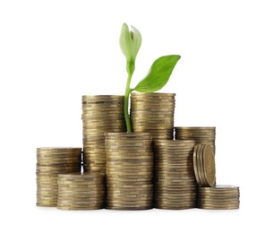 Stacks of coins and green plant on white background. Prosperous business