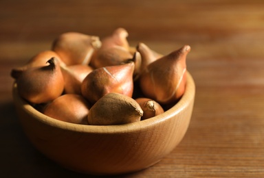 Tulip bulbs in bowl on wooden table, closeup