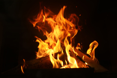 Photo of Fireplace with burning wood, closeup view. Winter vacation